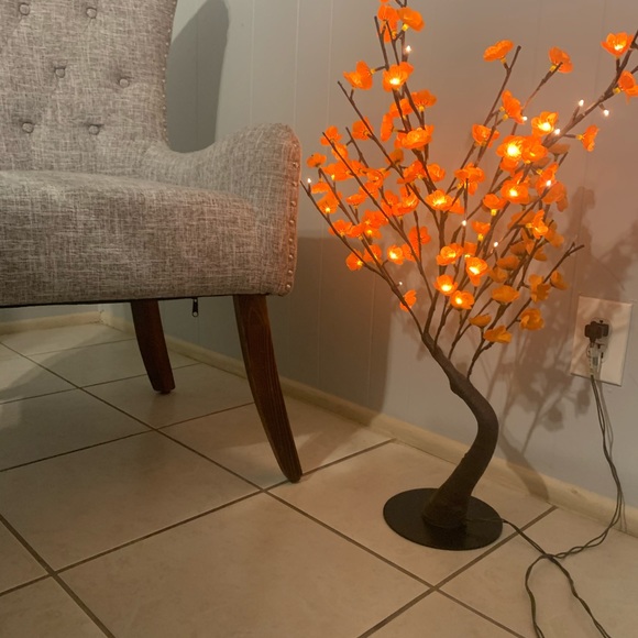 Lamps - Picture 8 of 9